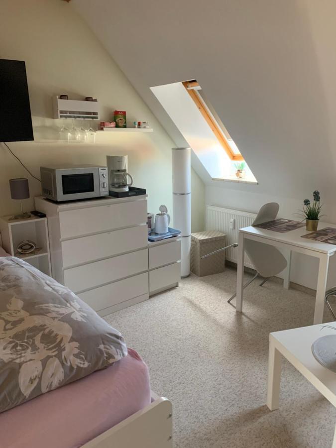 Apartment Am Goethe Park Jena Luaran gambar